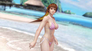 Illustration for article titled The Numbers Don't Lie: Gamers Want Dead or Alive Bikinis
